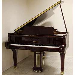 Hoffmann Vision V-183 MG BR Акустический рояль